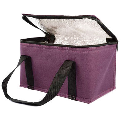 OEM Custom Printing Soft Insulated Cooler Bag 21*13*14 Cm ด้วยความจุ 4L 16L 32L